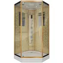 Душевая кабина Niagara LuxeNG-7717G низкий поддон 100x100 см