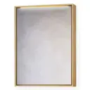 Шкаф зеркальный подвесной Raval Frame Fra 03 75 DS 76x83см цвет бежевый