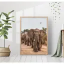 Постер 28 картин "Африканские слоны" 50x40 см без рамы