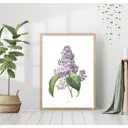 Постер 28 картин "Ветка сирени рисунок" 70x50 см без рамы