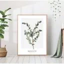 Постер 28 картин Веточка оливы ботаника 70x50 см без рамы