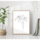 Постер 28 картин "Две лилии" 40x50 см, в подарочном тубусе без рамы