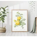 Постер 28 картин "Желтые розы" 50x70 см, в подарочном тубусе без рамы