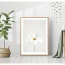 Постер 28 картин Космея цветок 50x70 см, в подарочном тубусе без рамы