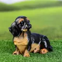 Садовая фигура Хорошие сувениры Такса 15x19x10 см