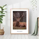 Постер 28 картин "Олень с рогами" 70x50 см в подарочном тубусе без рамы