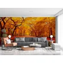 Фотообои флизелиновые Primavera Золотая осень 300x270 см Фотообои