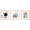Модульная картина Котики 40x40 см 3 шт.