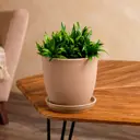Горшок цветочный Лофт Nana ceramics 17 см 2 л керамика коричневый