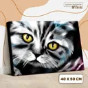 Картина по номерам на холсте с подрамником «Котик» 40x50 см