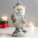 Новогодняя фигурка Simaland Филин со звёздочкой в зимнем наряде 16.7x8.5 см