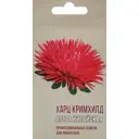 Астра китайская Харц Кримхилд