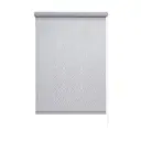 Рулонная штора Эскар Тикс 55x160 см цвет серый