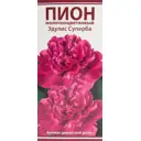 Пион молочноцветковый травянистый Эдулис Суперба