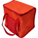 Термосумка Firewood ML84-20L