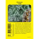 Облепиха Гном пакет h40 см