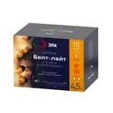 Электрогирлянда комнатная Эра b0056017 нить 4.5 м 1 ламп теплый белый 1 режим работы