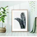 Постер 28 картин Пальма Черно-белые листья 40x50 см в подарочном тубусе без рамы