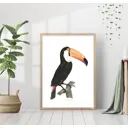 Постер 28 картин "Птица тукан" 40x50 см в подарочном тубусе без рамы