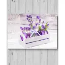 Картина без обрамления Ekoramka "Лаванда" 40x57 см