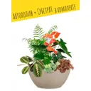Кашпо настольное с автополивом Lechuza Cubeto Stone 30 13831 5 л