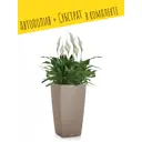 Кашпо напольное с автополивом Lechuza Cubico Color 22 13128 6 л