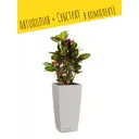 Кашпо напольное с автополивом Lechuza Cubico Cottage 30 15157 14 л