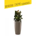 Кашпо напольное с автополивом Lechuza RONDO 40 15744 22 л