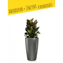 Кашпо напольное с автополивом Lechuza RONDO 32 15783 13 л