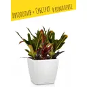 Кашпо настольное с автополивом Lechuza Quadro 28 LS 16140 9 л