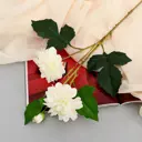 Цветы искусственный Георгин пионовидный d-5 см 69 см белый