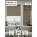 Рулонная штора Evoli Этнокантри 62374, 120x170 см, коричневый
