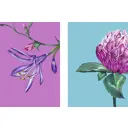 Постер В розовом цвете 21x29.7 см 2 шт.