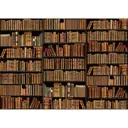 Фотообои МИР "Книжные полки" 190х270 см