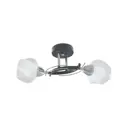 Люстра потолочная TOPLIGHT TL7380X-02BC Lia 2 лампы 4 м² цвет черный