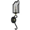 Настенный светильник LIGHTSTAR 744617 цвет золото