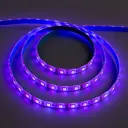 Светодиодная лента ECOLA 3627696 SMD 5050 60 диод/м 12 В IP65 5 м изменение цвета RGB