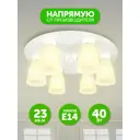 Люстра потолочная ДУБРАВИЯ 127-711-16 Асмодей 6 ламп 23 м² цвет белый матовый