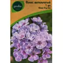 Флокс Geolia метельчатый Юник Олд Блу