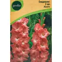 Гладиолус крупноцветковый Лолита Geolia 3 шт