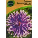 Георгина Geolia бахромчатая Тейбл Дансер
