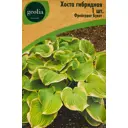 Хоста Geolia гибридная Фрейгрант Букет