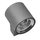 Светильник настенный светодиодный уличный Lightstar 361694 Paro IP65 цвет серебряный