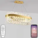 Люстра потолочная светодиодная Natali Kovaltseva Lamps 81274 с пультом управления 20 м² регулируемый белый свет цвет золотой