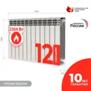 Радиатор Невинномысский радиаторный завод Профи 500/100 12 секций боковое подключение биметалл белый
