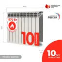 Радиатор Невинномысский радиаторный завод Профи 500/100 10 секций боковое подключение биметалл белый