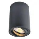 Светильник точечный накладной Arte Lamp Sentry A1560PL-1BK