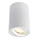 Светильник точечный накладной Arte Lamp Sentry A1560PL-1WH