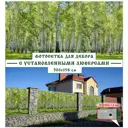 Фотосетка Мечта 14030, Березовый лес 158x300см