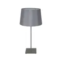 Лампа настольная Lussole Milton LSP-0520 цвет серый